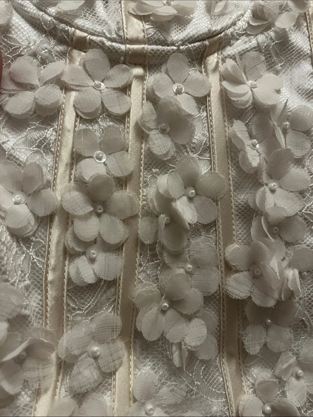 Ann Taylor Ivory Lace 3D Floral & Pearl Appliqué Bustier Corset size 6